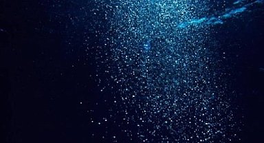 Hiçbir bilim insanının açıklayamadığı yaratıklar bulundu