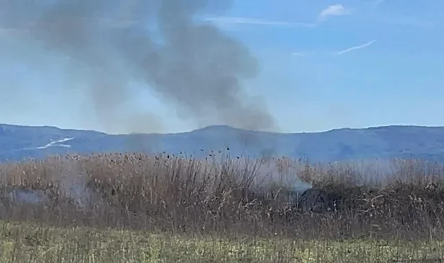 İznik Gölü kıyısında korkutan yangın! Sazlıklar alevlere teslim oldu!