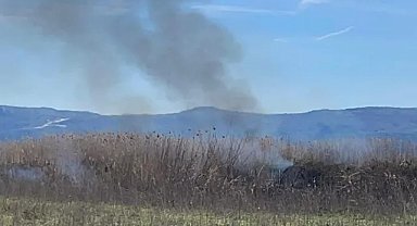 İznik Gölü kıyısında korkutan yangın! Sazlıklar alevlere teslim oldu!