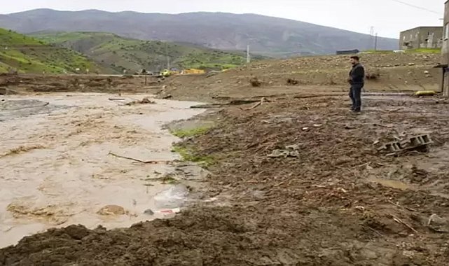 Siirt’teki selde hayvanlar akıntıya kapılarak öldü