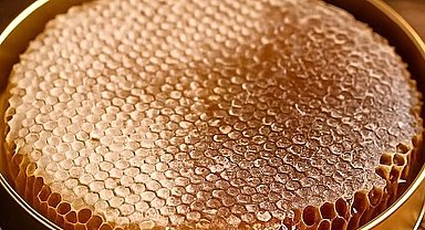 Tarım ve Orman Bakanlığı düğmeye bastı: Bala standart geliyor