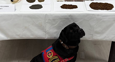 Tokat'ta uyuşturucu operasyonu; Çok sayıda gözaltı