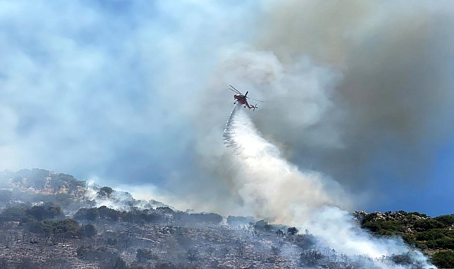 Antalya Demre'de orman yangını