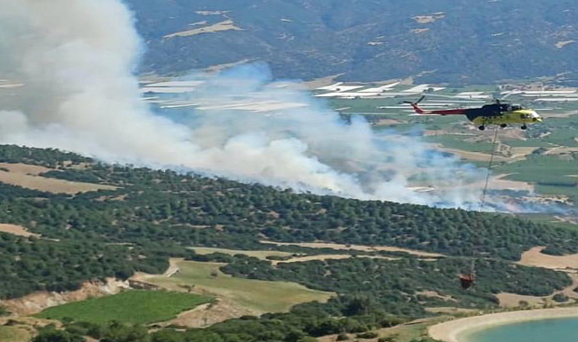 Manisa ve Muğla'daki orman yangınları kontrol altında