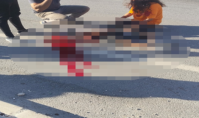 Topun peşinden yola çıkan çocuk, kamyonetin altında can verdi