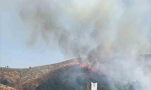 Bingöl’de örtü yangınına müdahale sürüyor