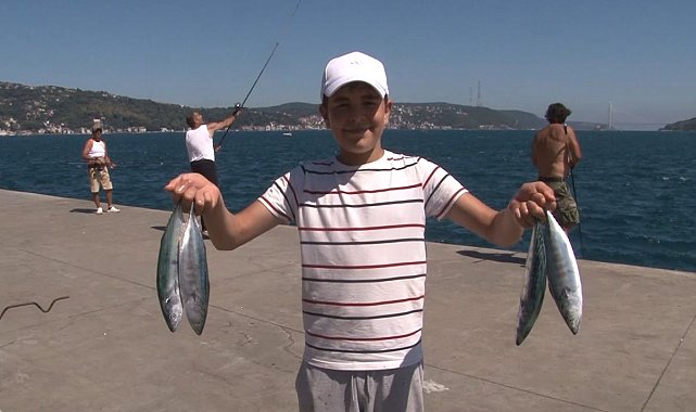 İstanbul'da Palamut Bolluğu: Kovalar Doluyor, Gözler Torikte