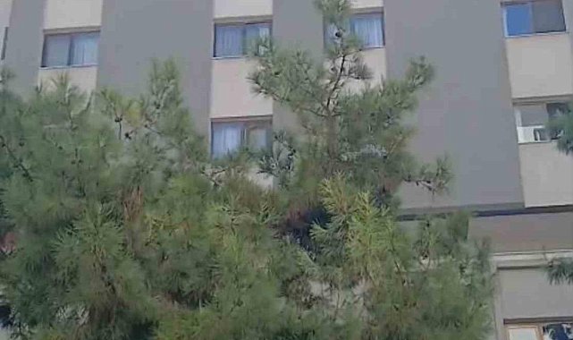 Öğretmenevi duvarından kopan beton parçaları korkuttu