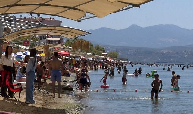 Deniz sezonunun bitmesine yakın Bursa’nın sahillerinden sevindiren haber