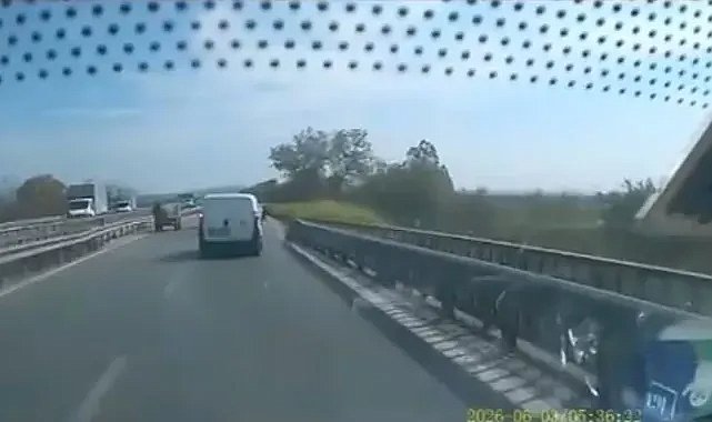 Bursa'da yok artık dedirten olay! Bir anda karşılarına çıktı!